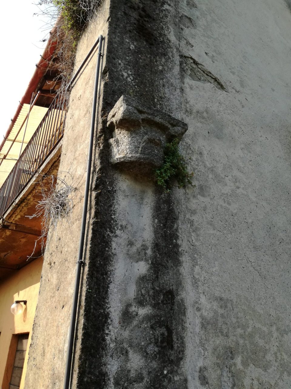 Un capitello medievale spunta da una cascina TUTTE LE FOTO