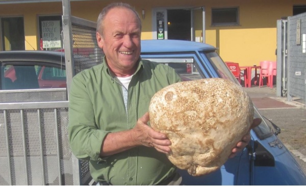 Cassanese trova un fungo di oltre sette chili