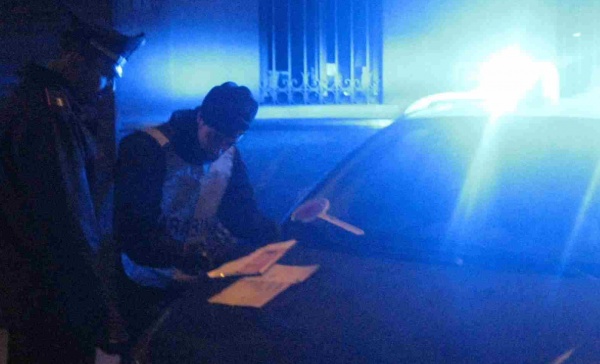 Cologno. Dodici cani in condizioni pietose e uno in decomposizione in gradino