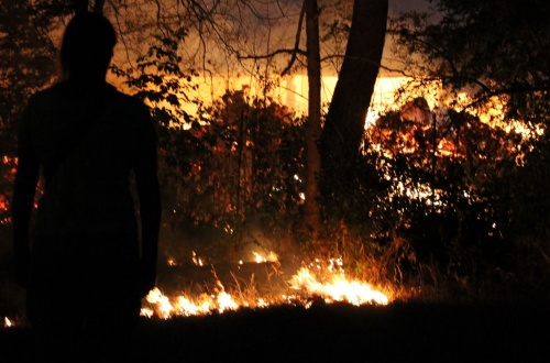 E’ allarme piromani in Martesana