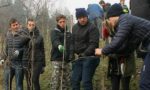 Gli studenti potano la vigna di Vaprio