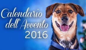 Il calendario dell'Avvento che aiuta cani e gatti