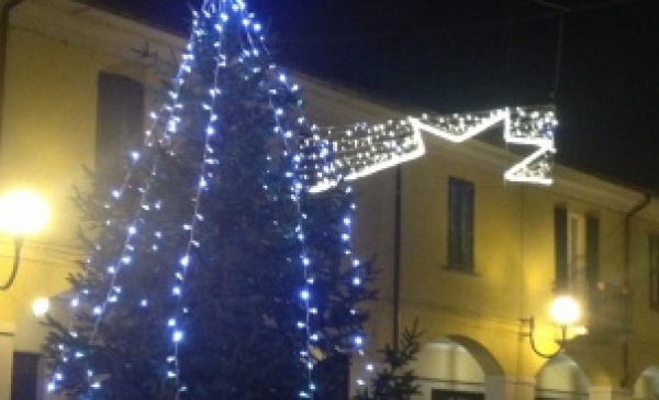 Melzo: i cittadini addobberanno l’albero “sfortunato”