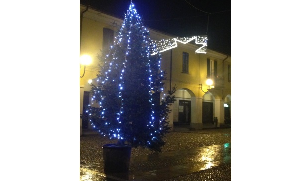 Melzo, la Pro loco regala l’albero, ma il prevosto lo rifiuta