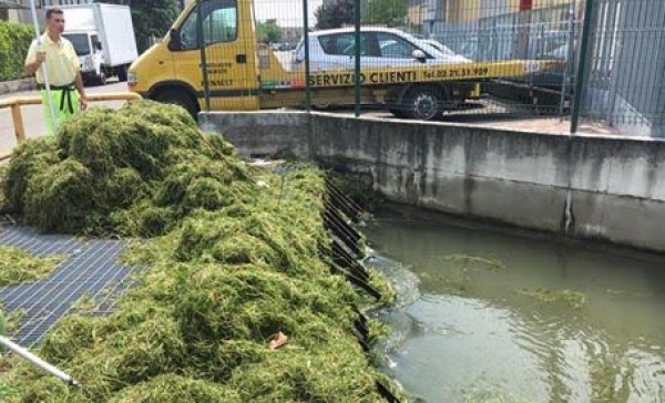 Segrate, esonda la roggia, via Modigliani sott’acqua