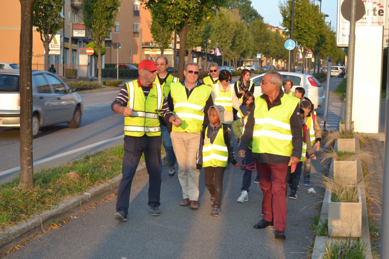 pedibus