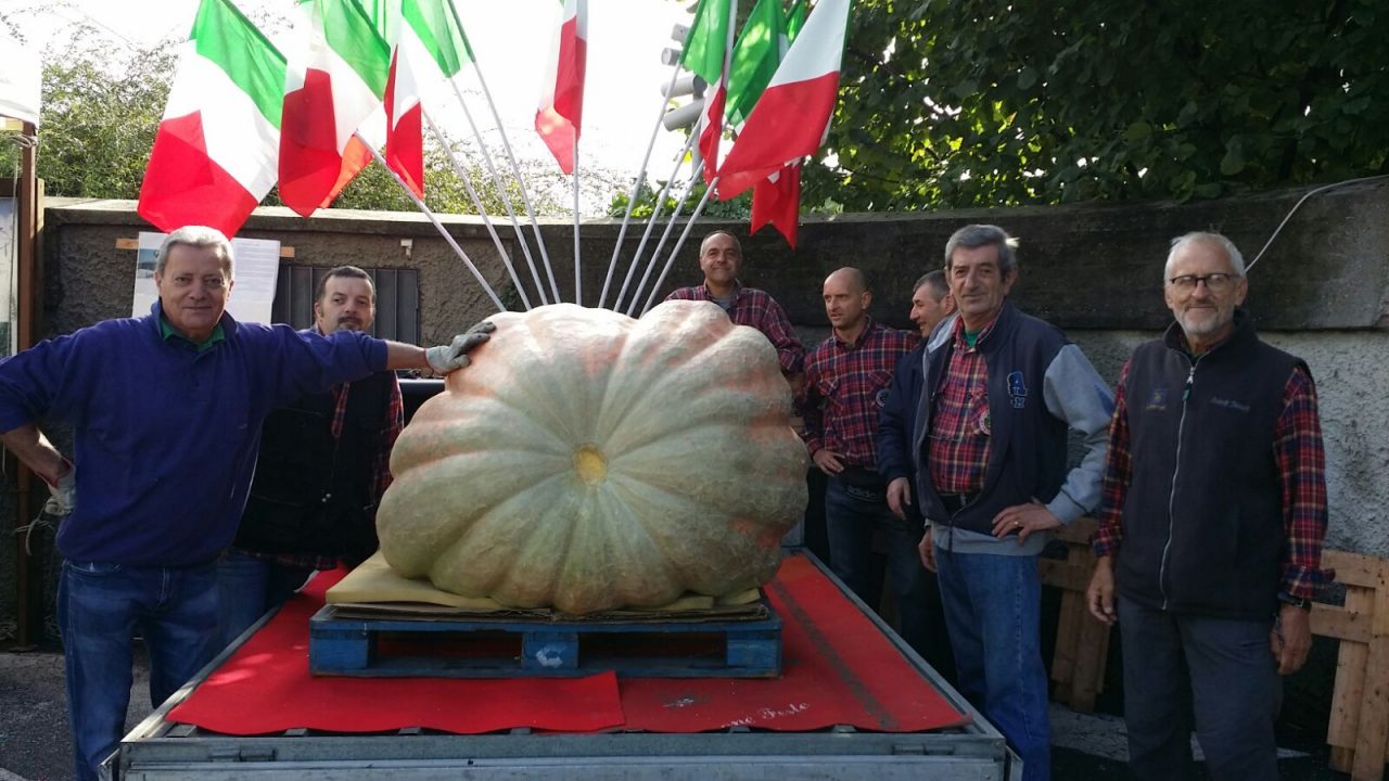 Da una zucca fondi per i terremotati