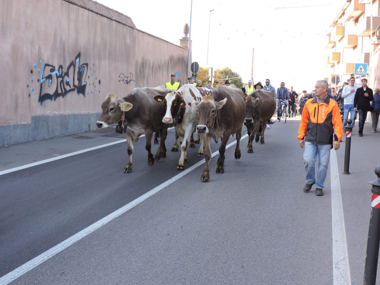 La sagra continua a Inzago