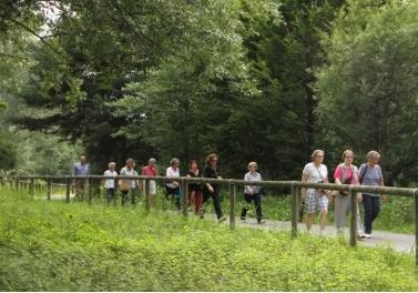 Presto anche Trezzo avrà il suo Gruppo di cammino