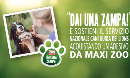 Maxi Zoo torna l’iniziativa benefica con i cani guida