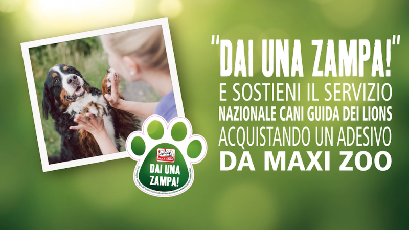 Maxi Zoo torna l’iniziativa benefica con i cani guida