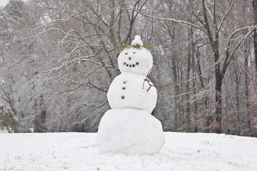 Ecco la prima neve dell’anno sull’Adda Martesana