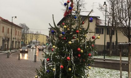 A Cascina Gatti spunta un albero di Natale donato dal sindaco