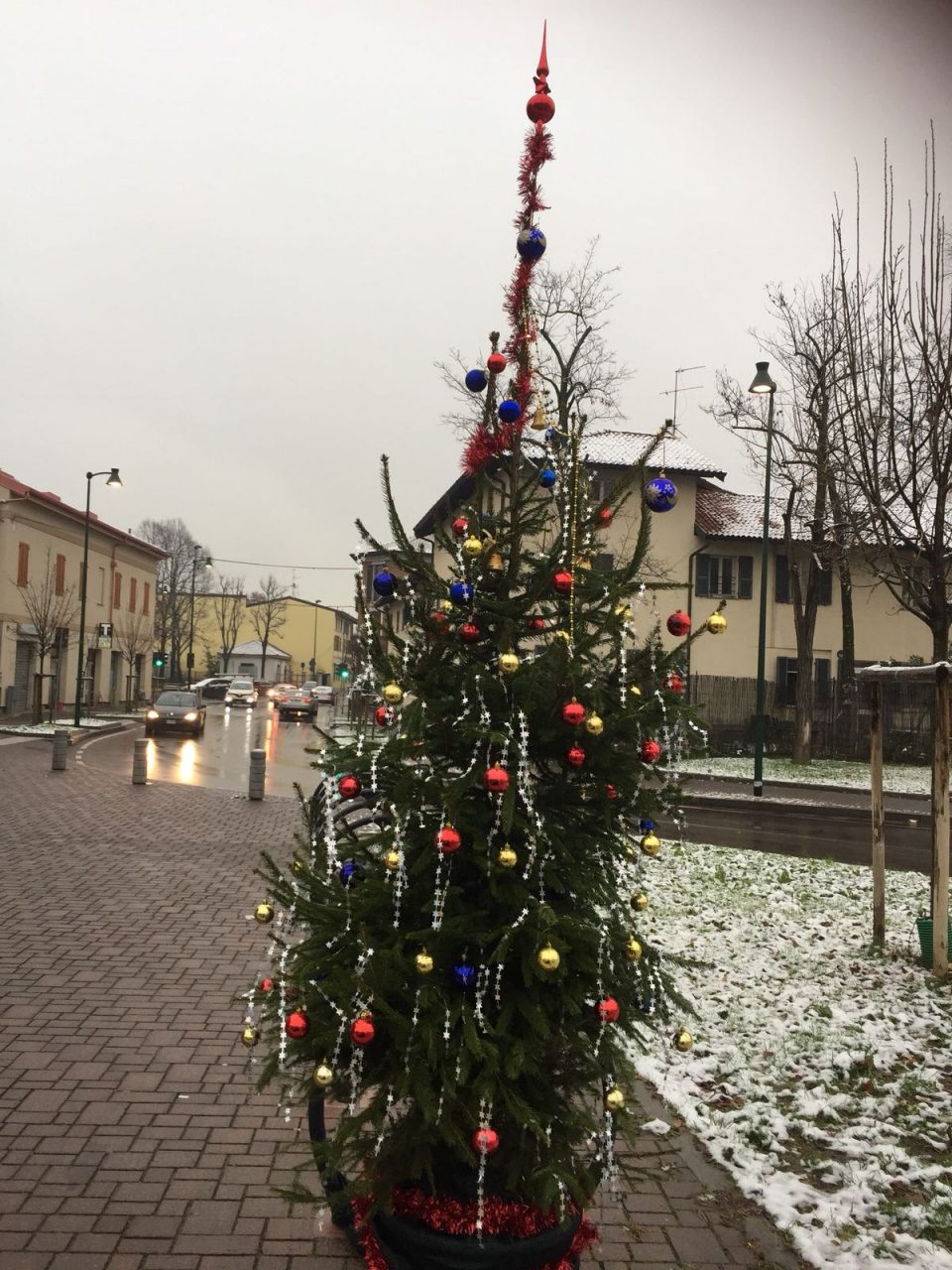 A Cascina Gatti spunta un albero di Natale donato dal sindaco