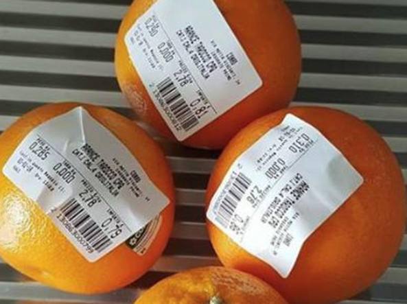 Sacchetti della frutta evasione e inseguimento OGGI IN PILLOLE