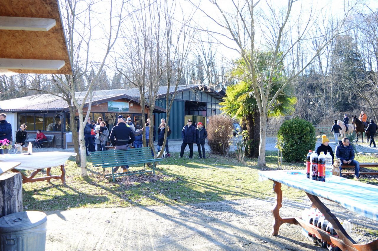 benedizione degli animali