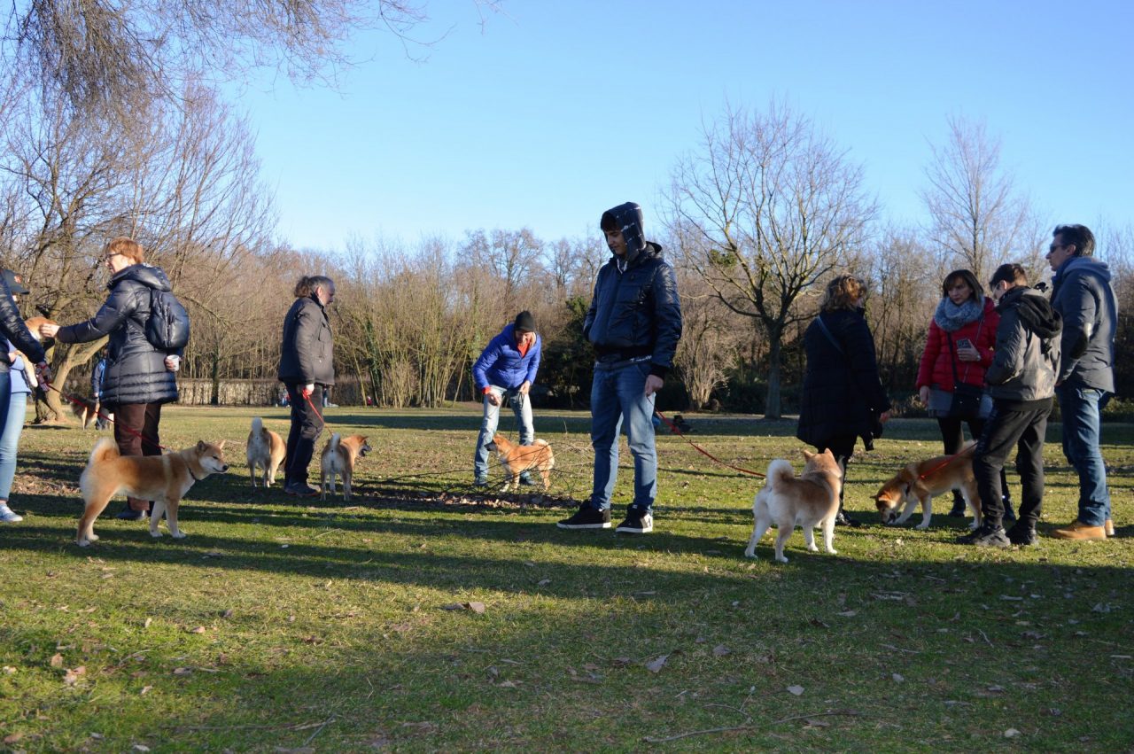 benedizione degli animali