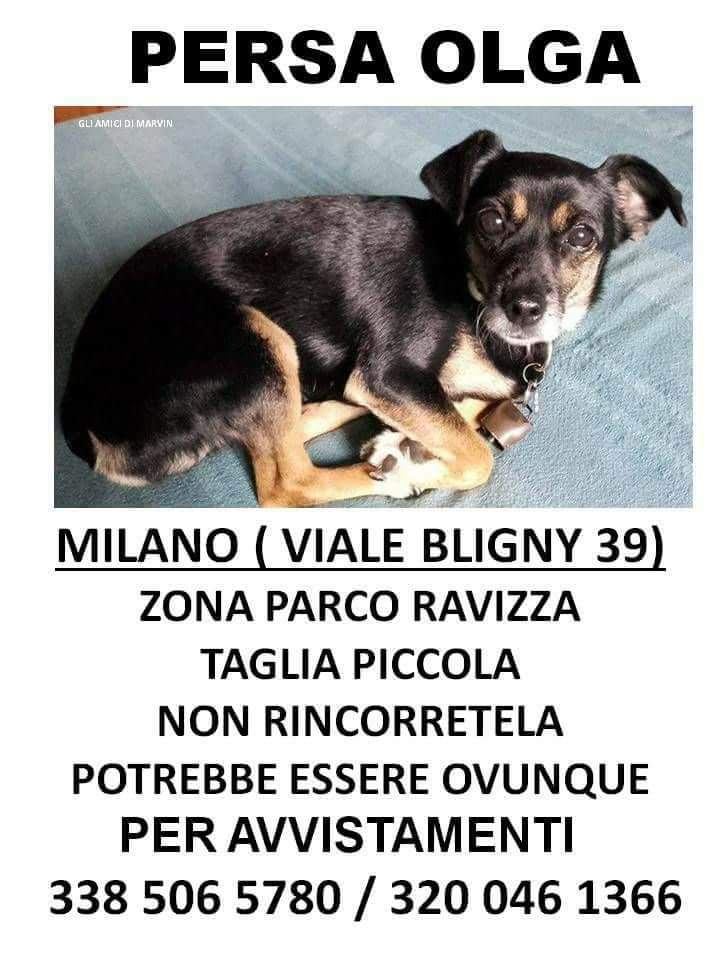 Ricompensa a chi ritroverà Olga