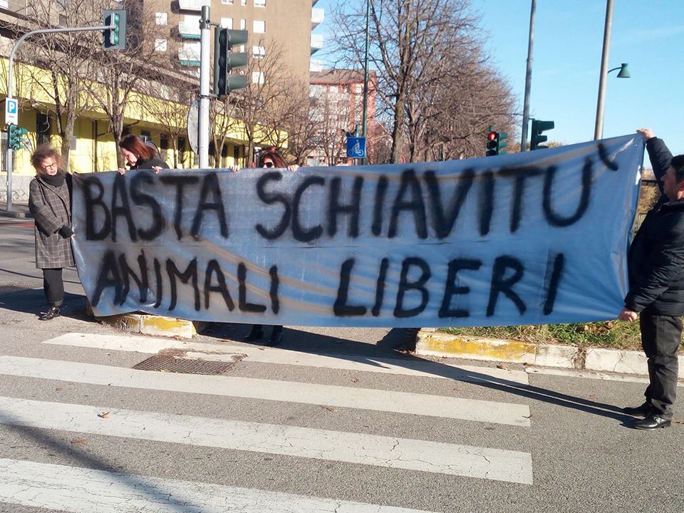 Protesta degli animalisti contro il circo: “Basta sfruttamento degli animali”