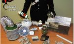 Coltiva marijuana in taverna arrestato