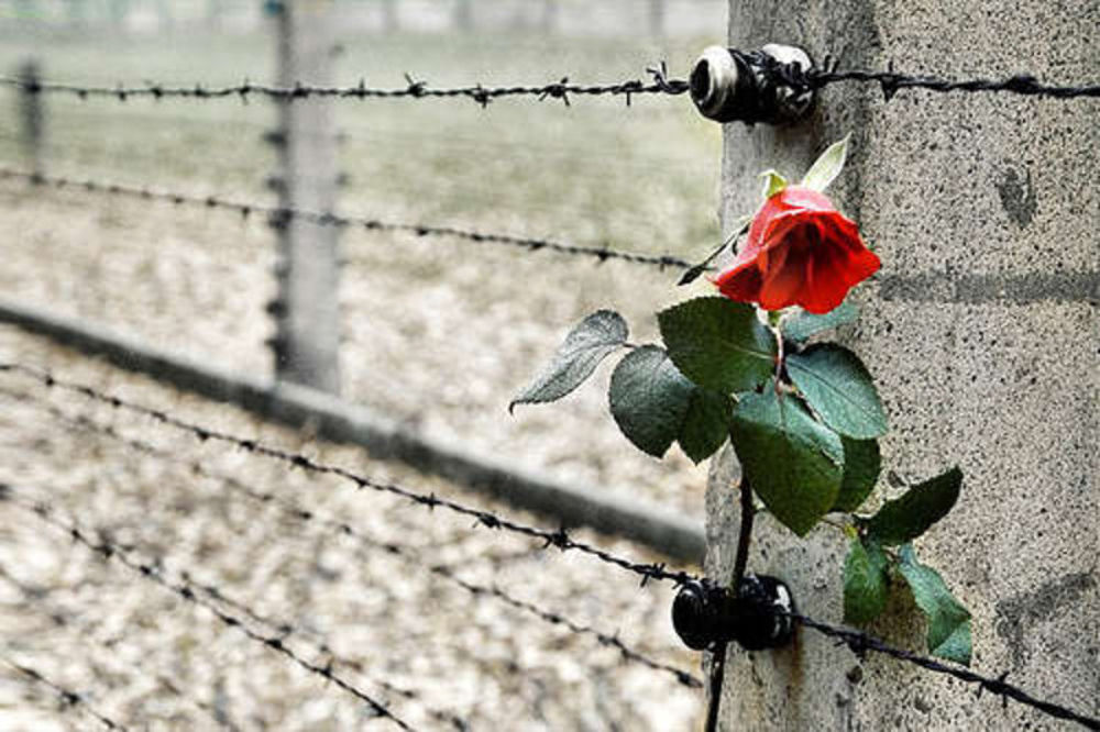 Manifestazioni per il Giorno della Memoria a Cinisello