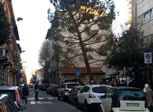 Albero inclinato, allarme davanti alle scuole Rovani
