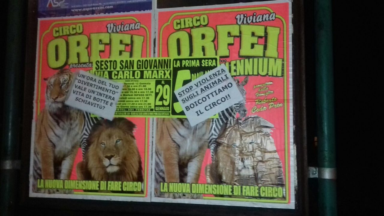 Camion del circo senza assicurazione e libretto