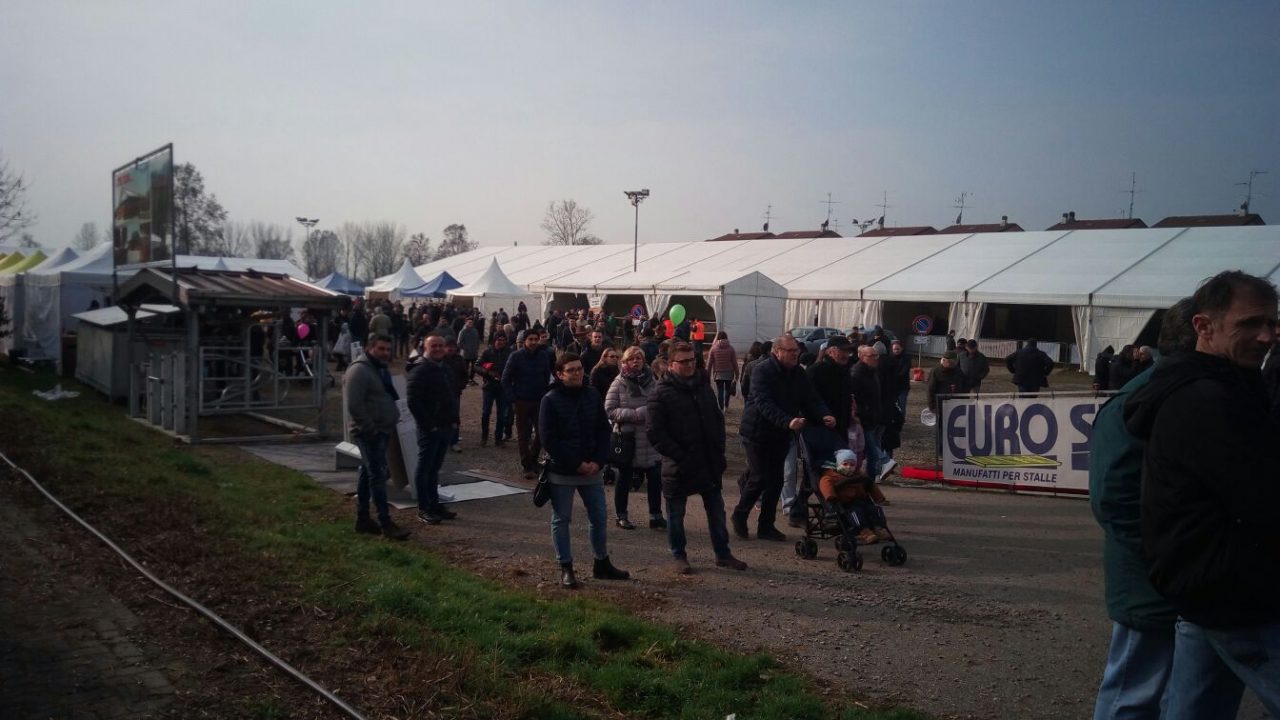 Protesta animalista alla Fiera di Santa Apollonia FOTO E VIDEO