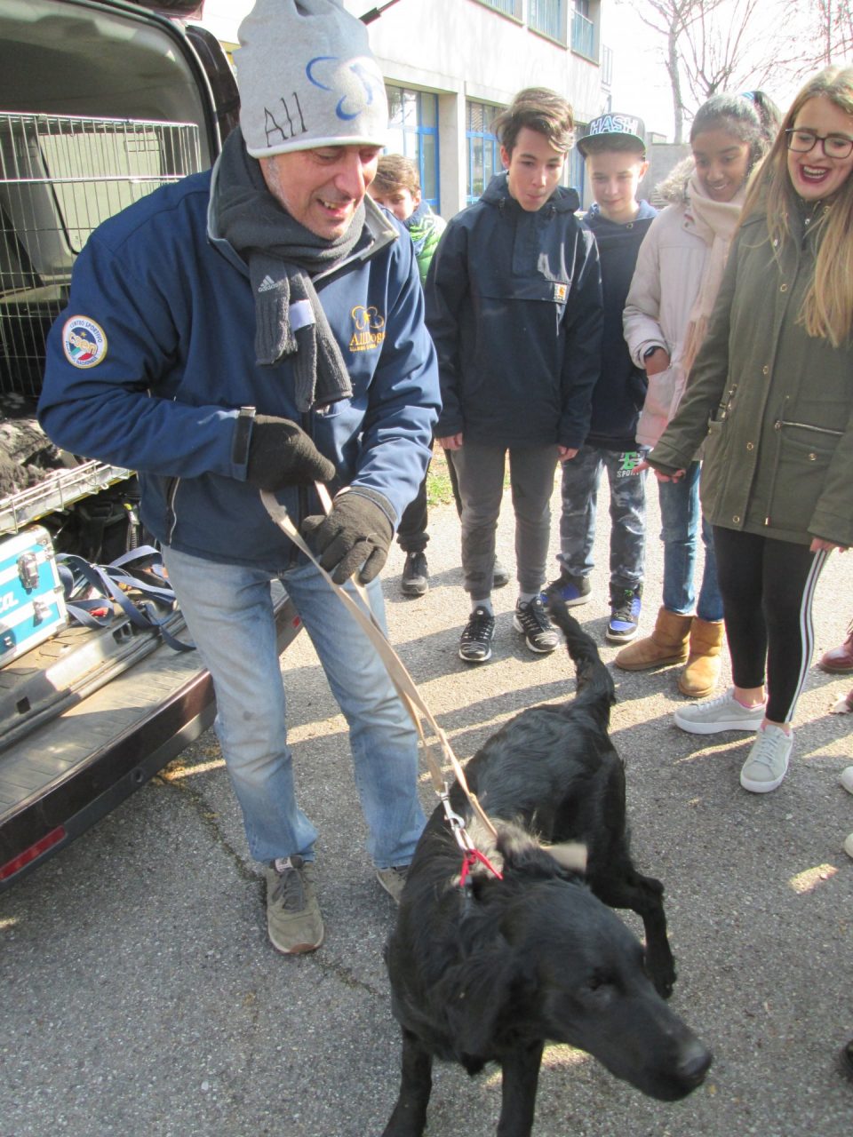 pet therapy