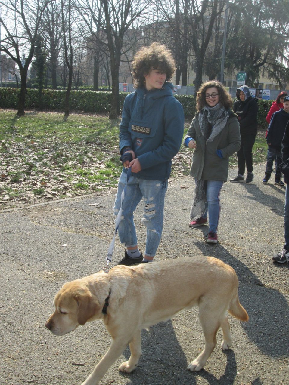 pet therapy