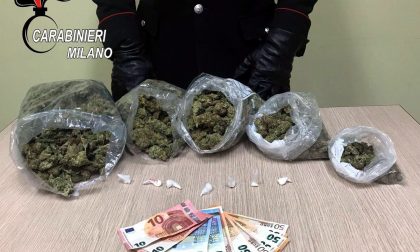 In possesso di un chilo di marijuana trentenne arrestato