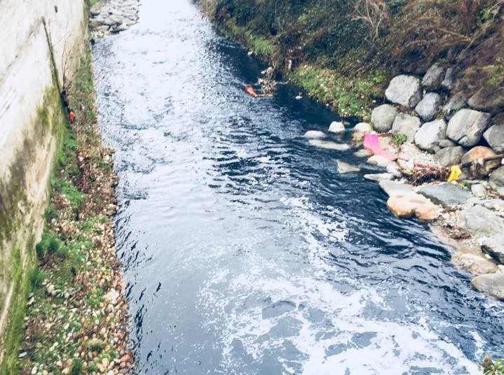 Il Seveso è blu sversati mille litri di colorante FOTO