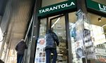 Libreria Tarantola conquista prestigioso premio LA VIDEOINTERVISTA