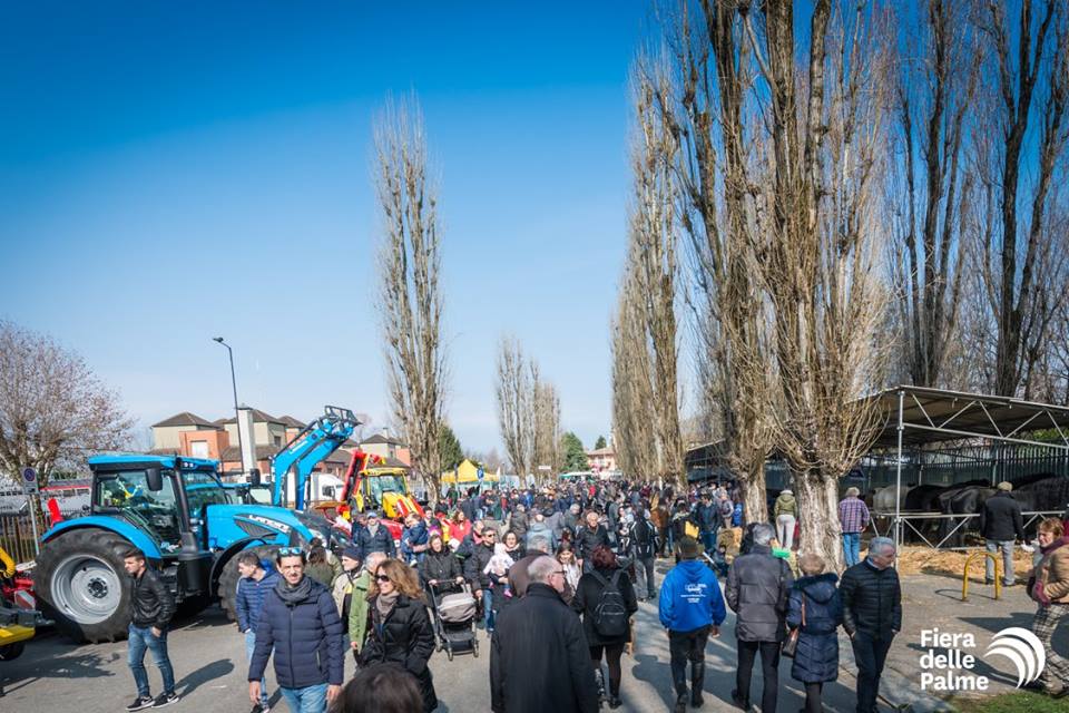 Fiera delle Palme una domenica da record. Sotto con l’ultimo giorno