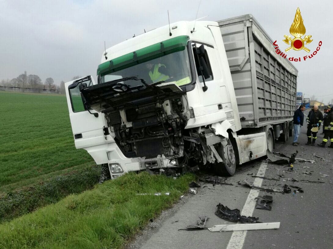 Auto contro camion per il trasporto animali Muore 47enne