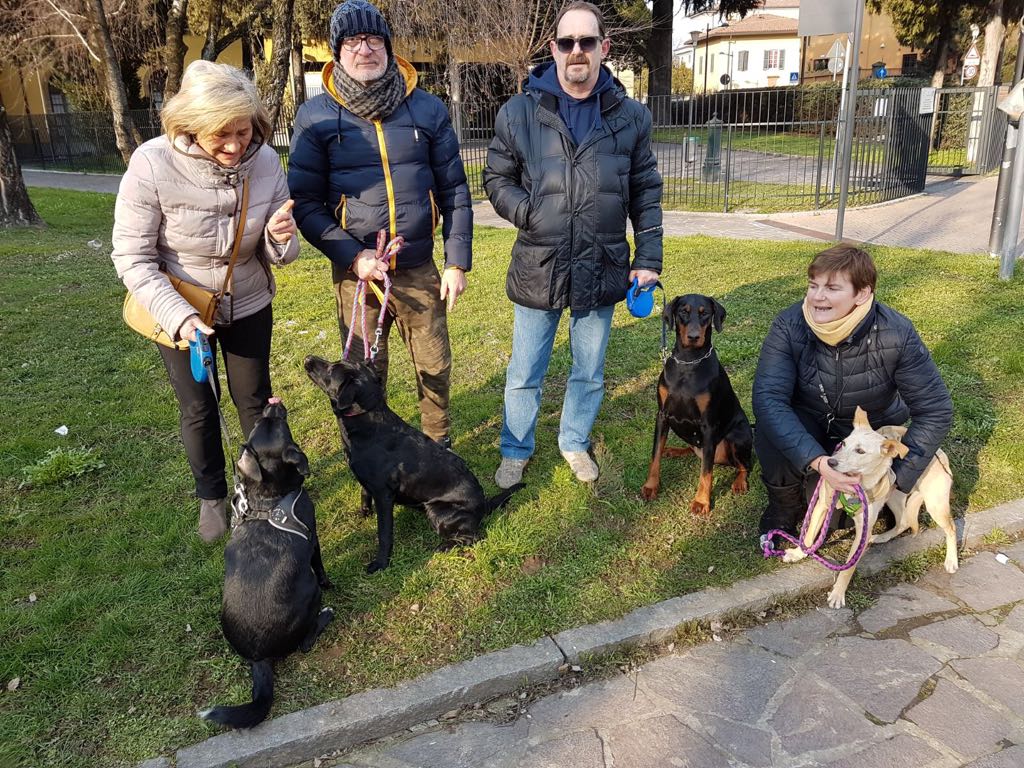 «Cerchiamo un’area cani», e la petizione a Trezzo diventa virale