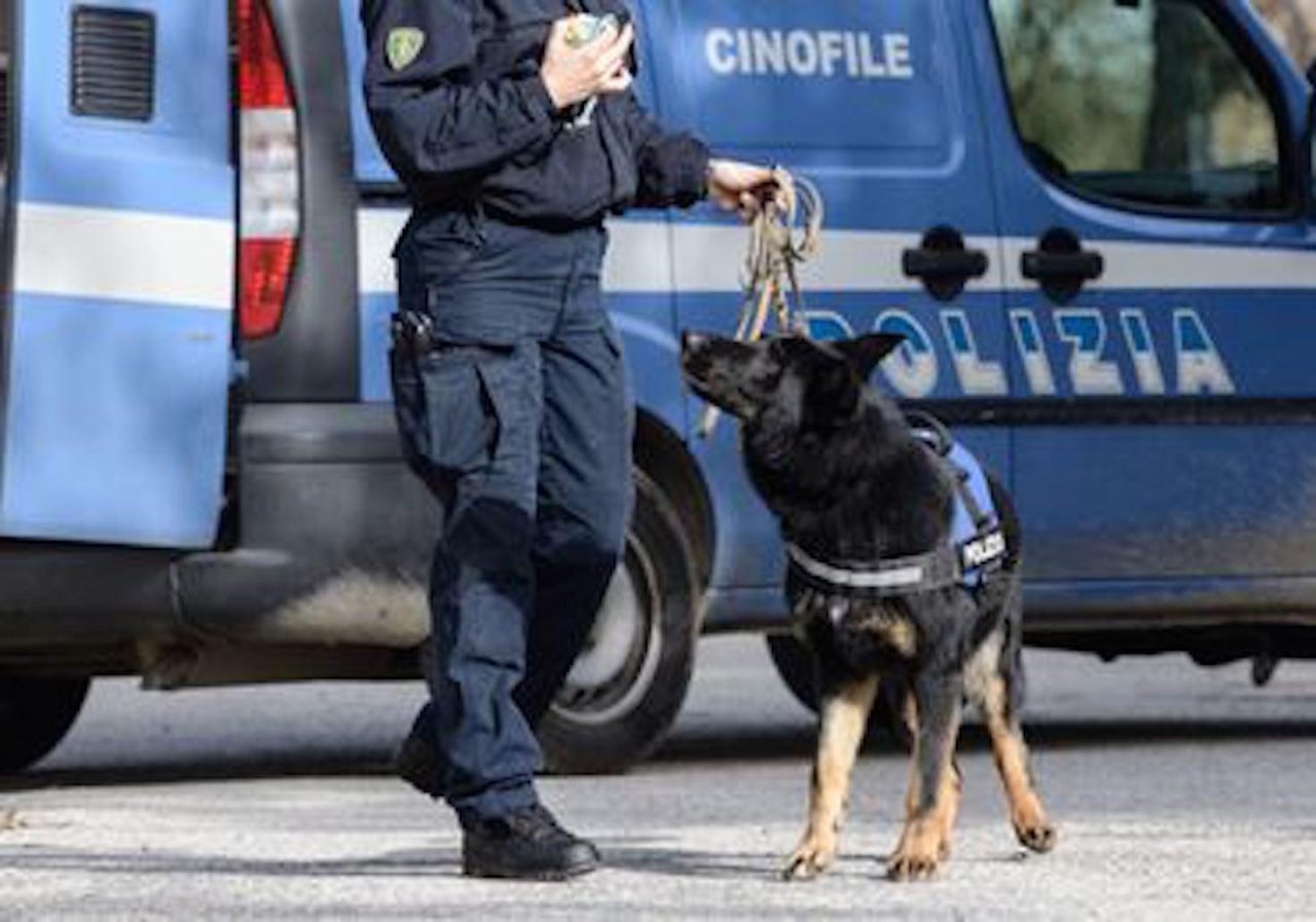 Cani antidroga della Polizia nei bar della “movida”