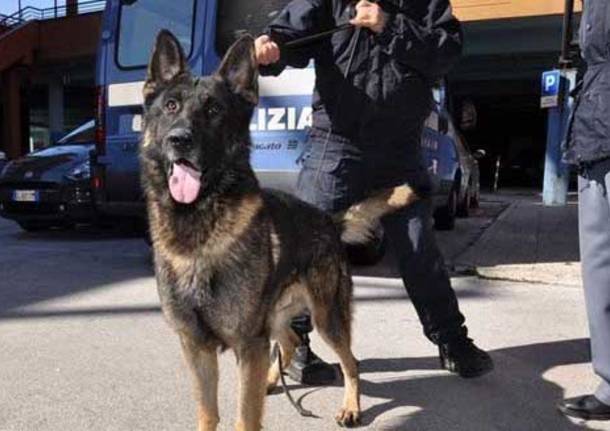 Polizia e cani antidroga a scuola: spunta fuori dell’hashish