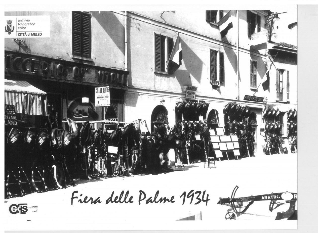 Fiera delle Palme ecco cosa aspettarsi per l’inaugurazione di domani VIDEO