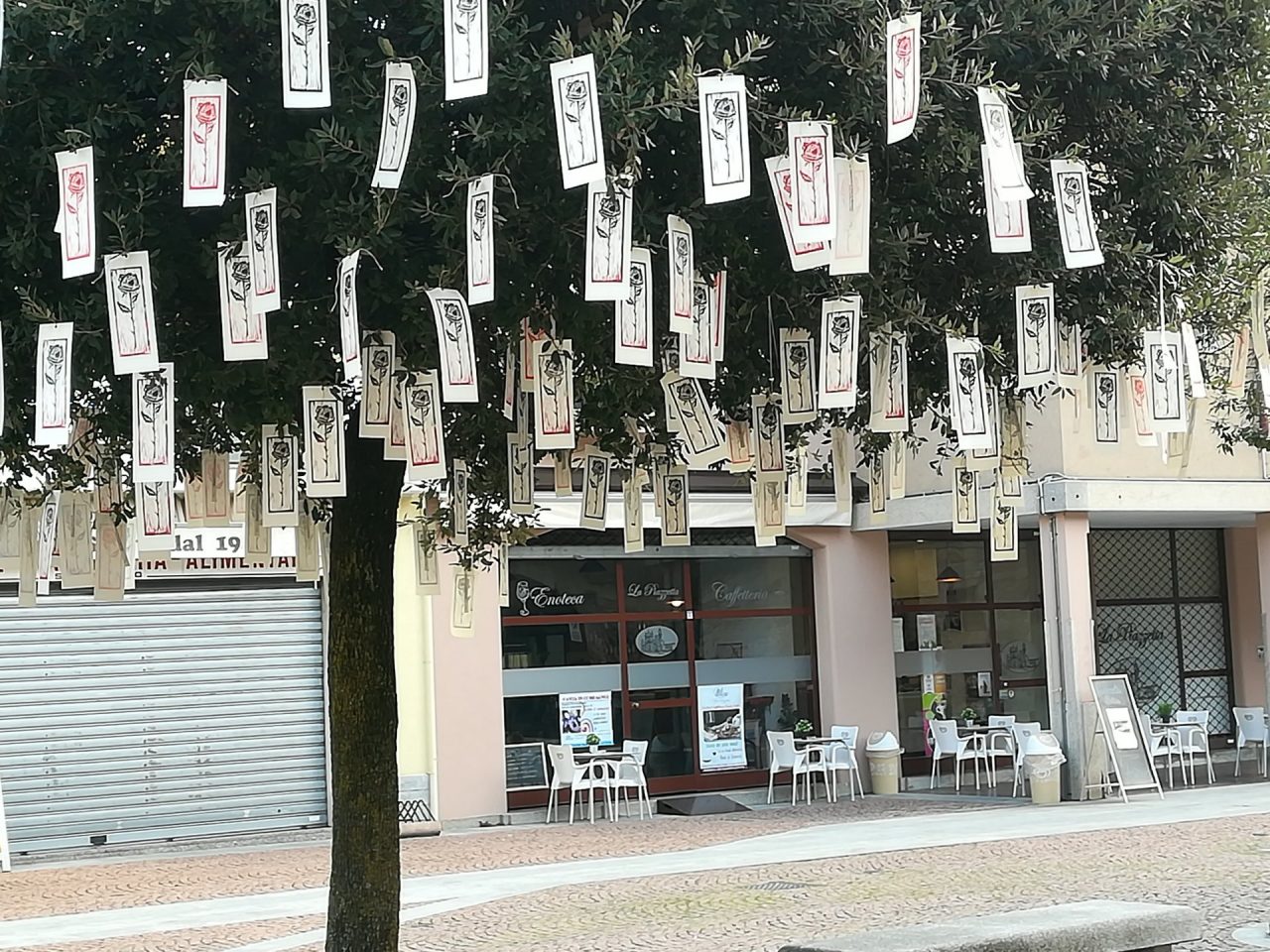 Violenza sulle donne A Carugate rose per dire no