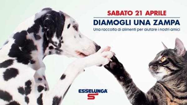 “Diamogli una zampa”: Esselunga aiuta gli animali