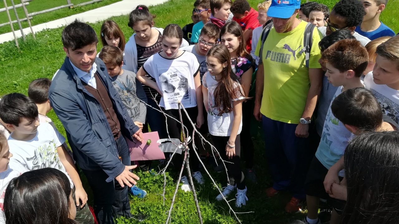 Trezzano gli studenti di prima media si prenderanno cura del frutteto dell’Oasi