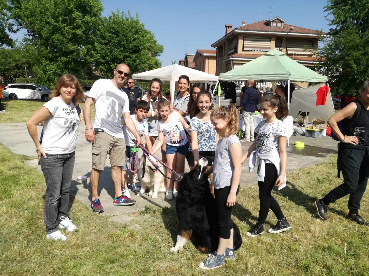 Liberi tutti tanti partecipanti alla passeggiata a sei zampe