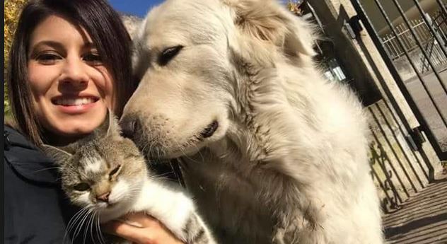 Free Miro, l’On Brambilla in campo per il cane sequestrato perché abbaia troppo