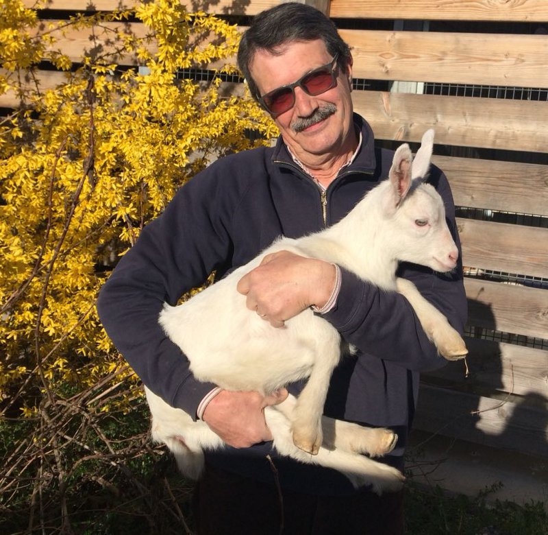 Due caprette in canile FOTO VIDEO