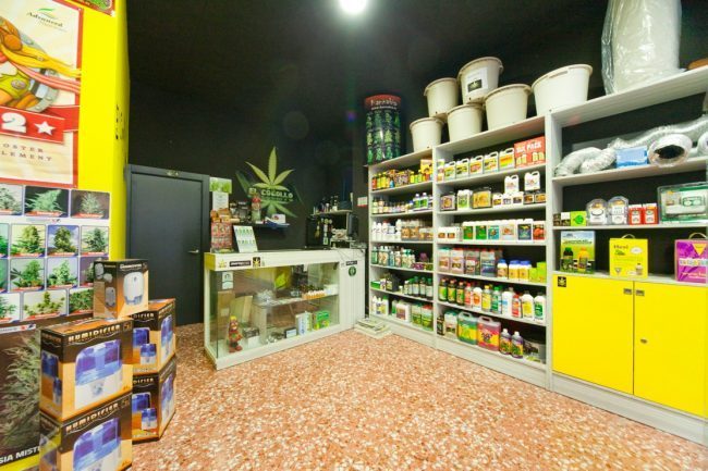 Cannabis light, in Svizzera la compri nei supermercati Lidl