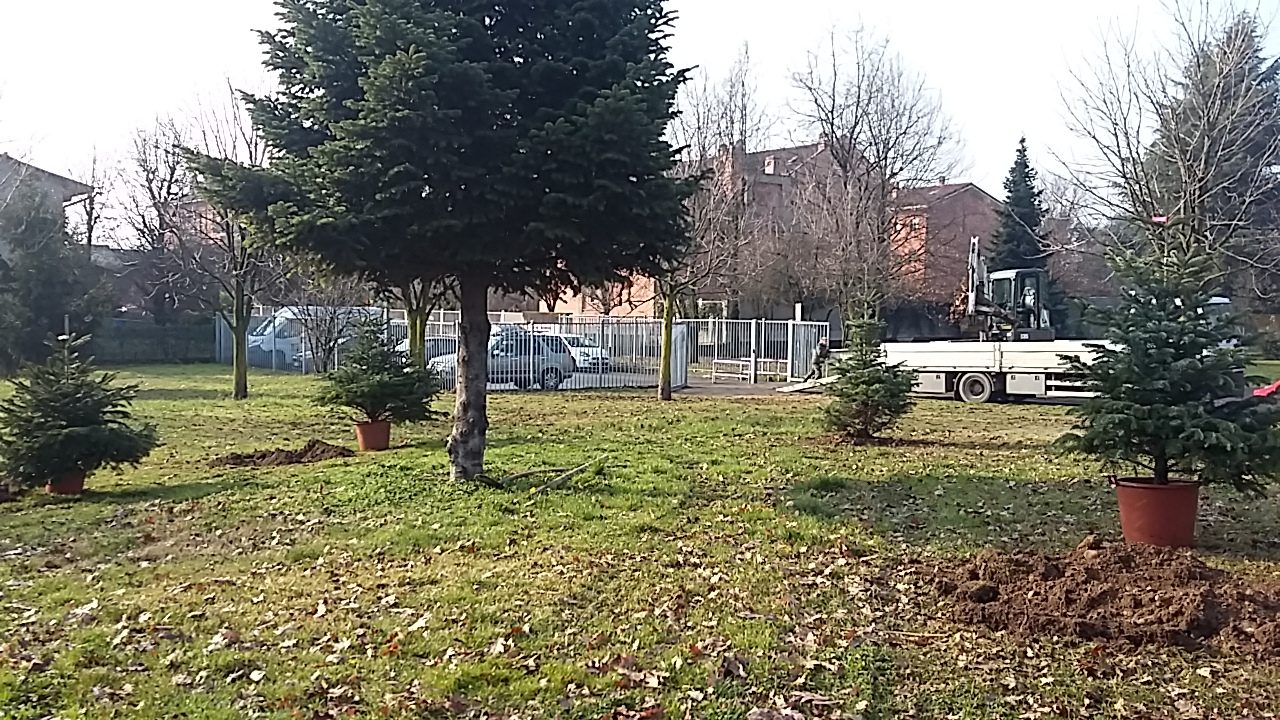 Bosco urbano 1600 alberi in arrivo a Cassina de’ Pecchi