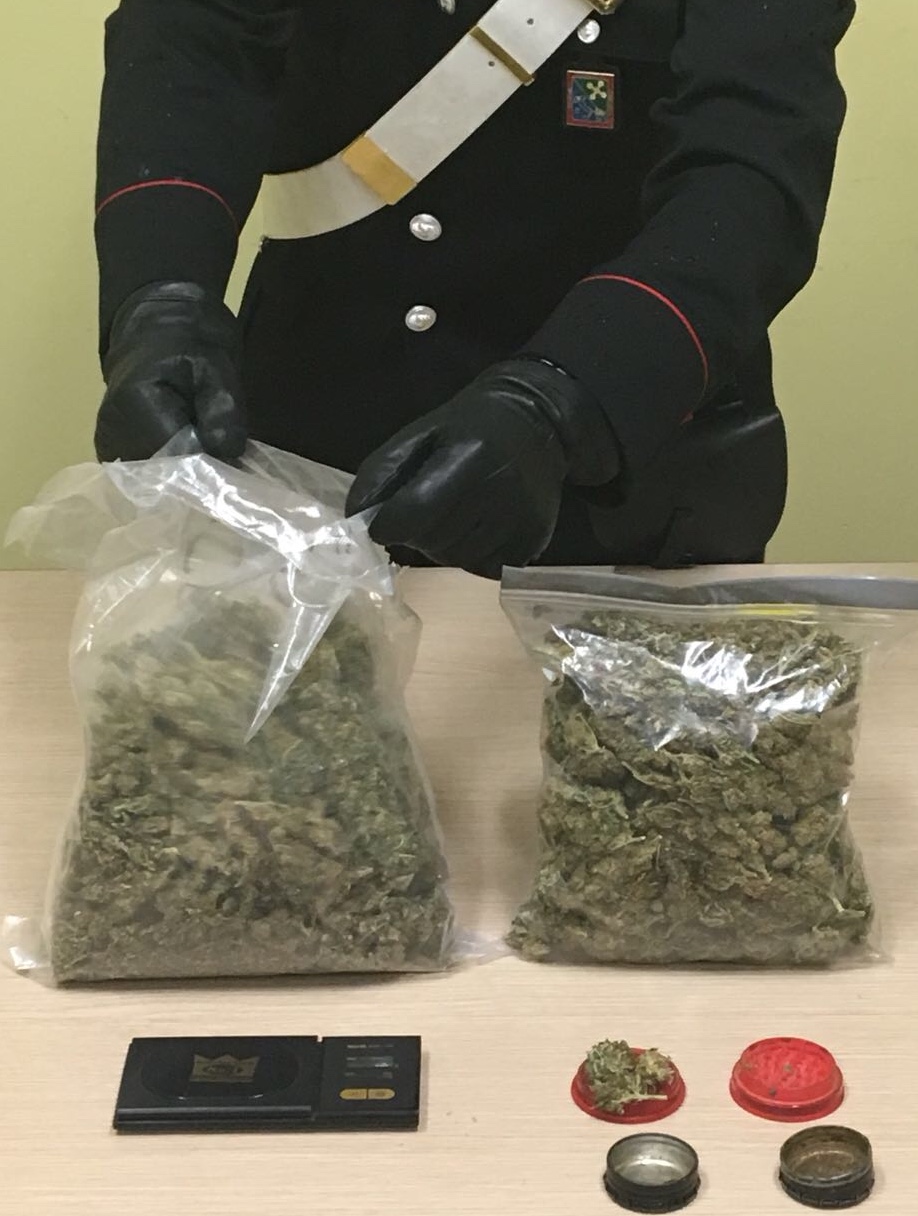 Spacciatore in manette aveva oltre mezzo chilo di marijuana