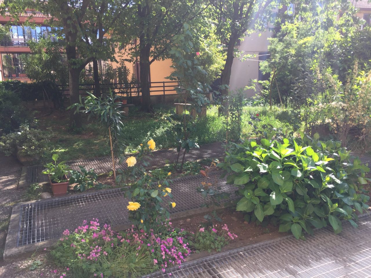 Una 80enne di Cernusco ha creato un giardino nel parchetto degradato
