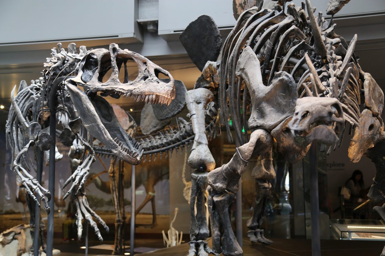 Musei gratis in Lombardia tutte le notizie da sapere